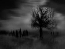 James Wainwright