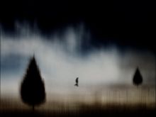 James Wainwright photo