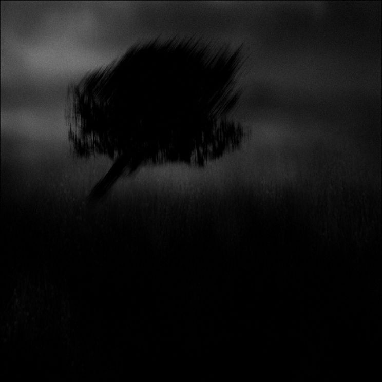 James Wainwright