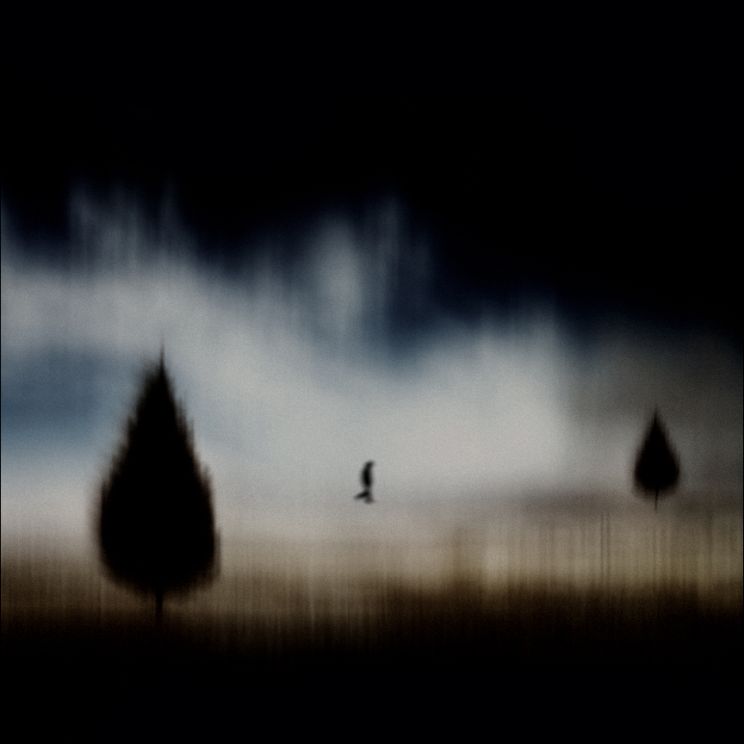 James Wainwright