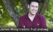 James Wong