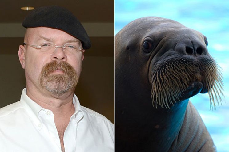 Jamie Hyneman