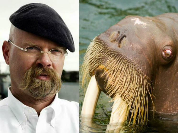 Jamie Hyneman