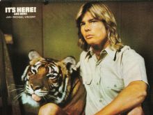 Jan-Michael Vincent