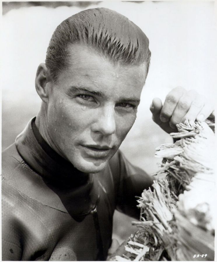 Jan-Michael Vincent