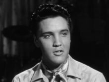 Jan Shepard
