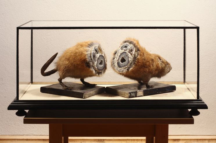Jan Svankmajer