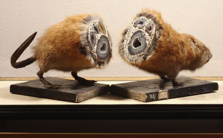 Jan Svankmajer
