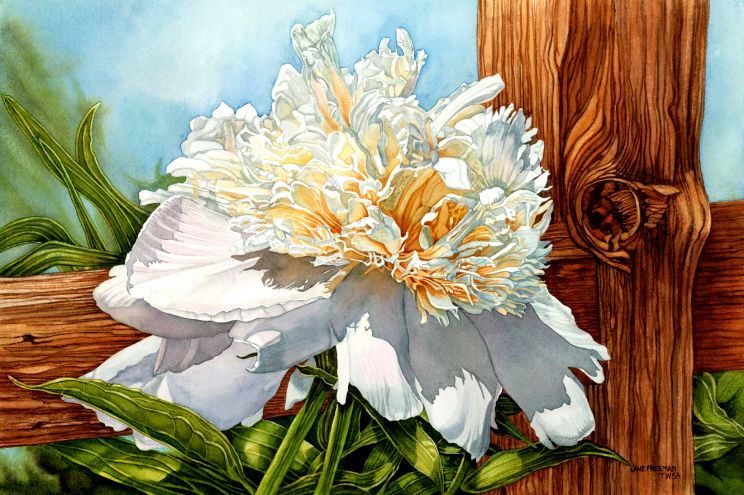 Jane Freeman