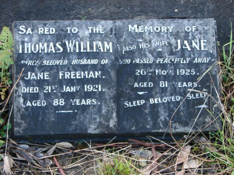Jane Freeman