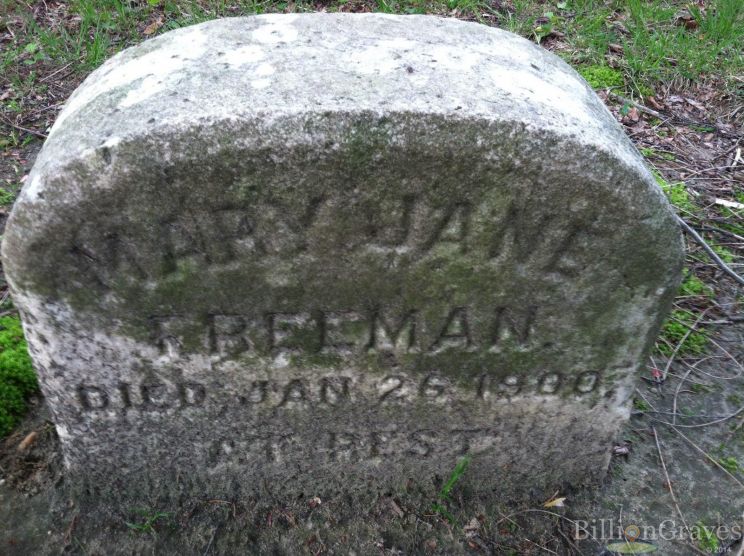 Jane Freeman