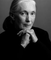 Jane Goodall