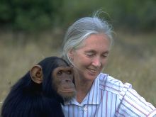 Jane Goodall