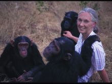 Jane Goodall