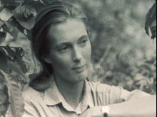 Jane Goodall