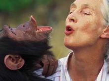 Jane Goodall