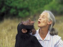 Jane Goodall