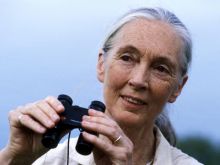 Jane Goodall