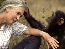 Jane Goodall