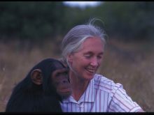 Jane Goodall