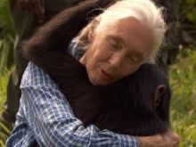 Jane Goodall