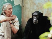 Jane Goodall