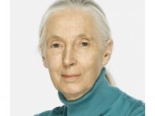 Jane Goodall