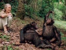 Jane Goodall