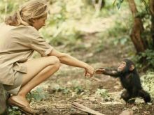 Jane Goodall