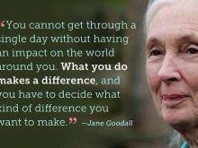 Jane Goodall