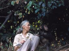 Jane Goodall