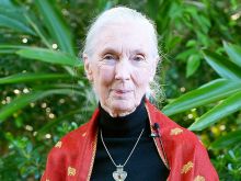 Jane Goodall