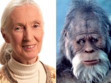 Jane Goodall