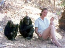 Jane Goodall