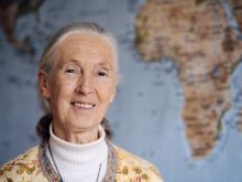 Jane Goodall