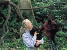 Jane Goodall