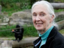 Jane Goodall