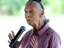 Jane Goodall