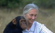 Jane Goodall