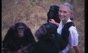 Jane Goodall