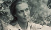 Jane Goodall