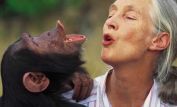 Jane Goodall