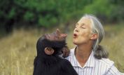 Jane Goodall