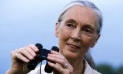 Jane Goodall