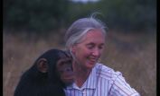 Jane Goodall