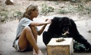 Jane Goodall