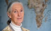 Jane Goodall