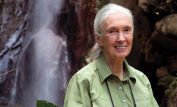 Jane Goodall