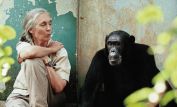 Jane Goodall