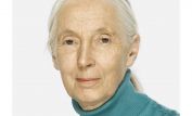 Jane Goodall